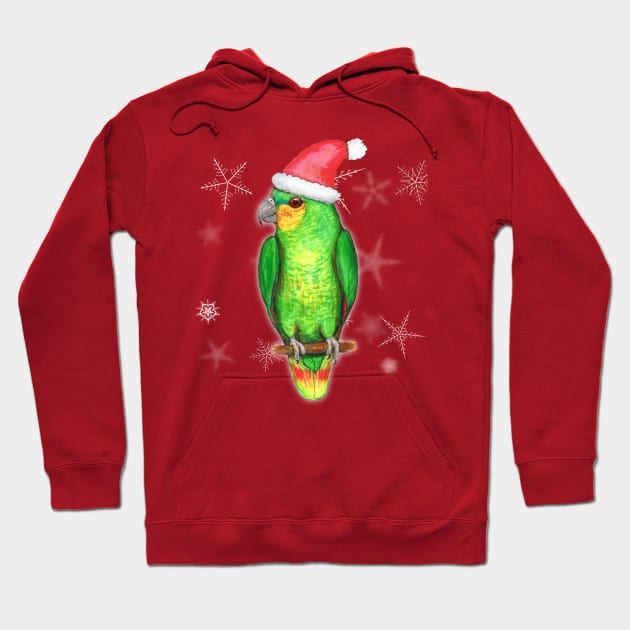 Christmas amazon parrot Hoodie by Bwiselizzy